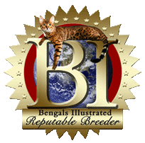 Bengals Illustrated Reputable Breeder seal