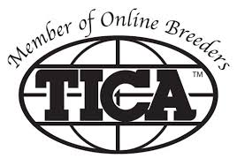 TICA Member of Online Breeders badge